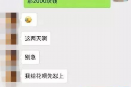 安阳为什么选择专业追讨公司来处理您的债务纠纷？